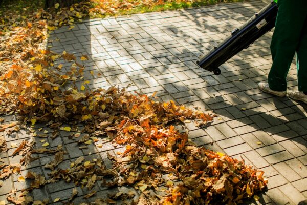 In the autumn park worker removes the road from the fallen leaves with help.