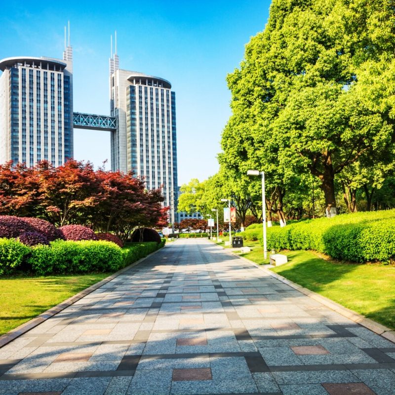 Common Commercial Landscaping Problems Property Managers Face