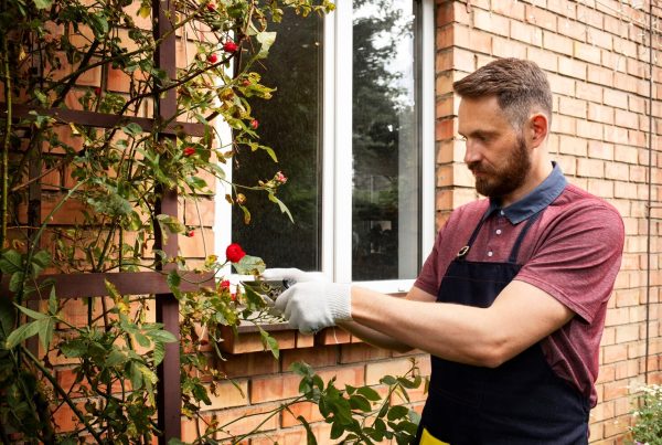 How Regular Property Maintenance Protects Your Home’s Value