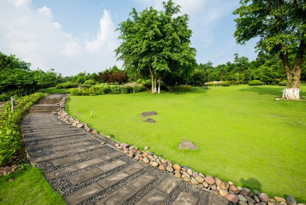 How to Keep Weeds Out of Your Garden Naturally