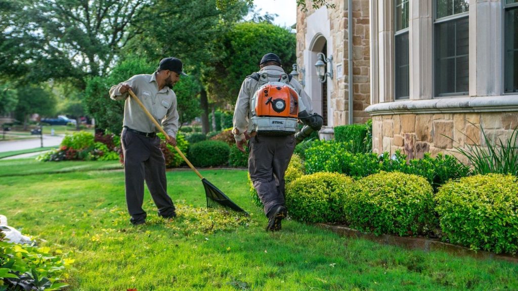 Fall Lawn Maintenance Checklist for Ontario Homeowners