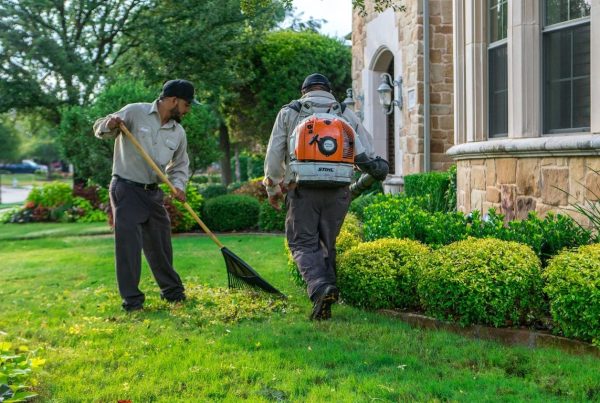 Fall Lawn Maintenance Checklist for Ontario Homeowners