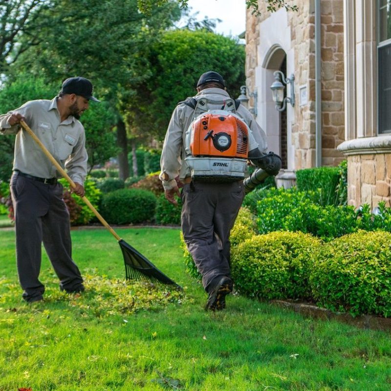 Fall Lawn Maintenance Checklist for Ontario Homeowners