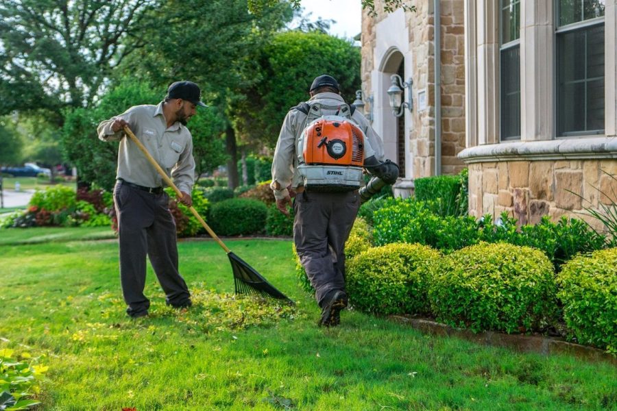 Fall Lawn Maintenance Checklist for Ontario Homeowners