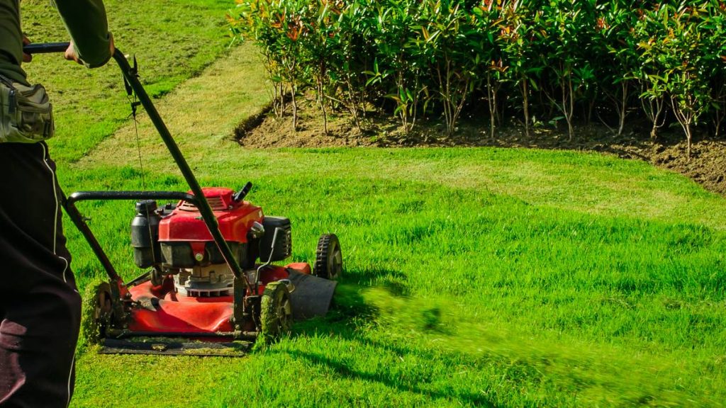 Simple Garden Maintenance Tips for Busy Homeowners