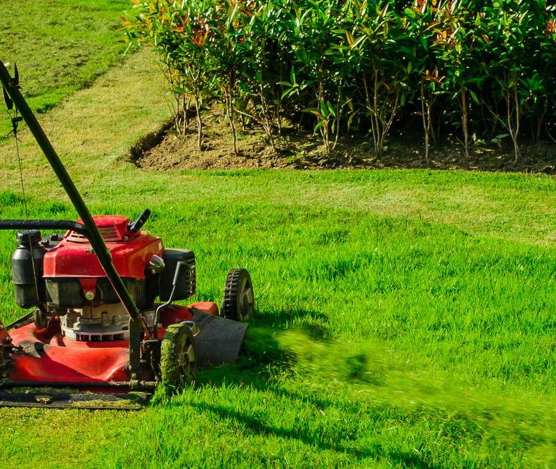 Simple Garden Maintenance Tips for Busy Homeowners