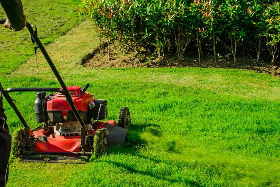 Simple Garden Maintenance Tips for Busy Homeowners