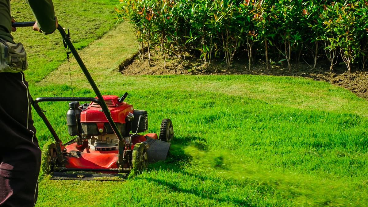 Simple Garden Maintenance Tips for Busy Homeowners